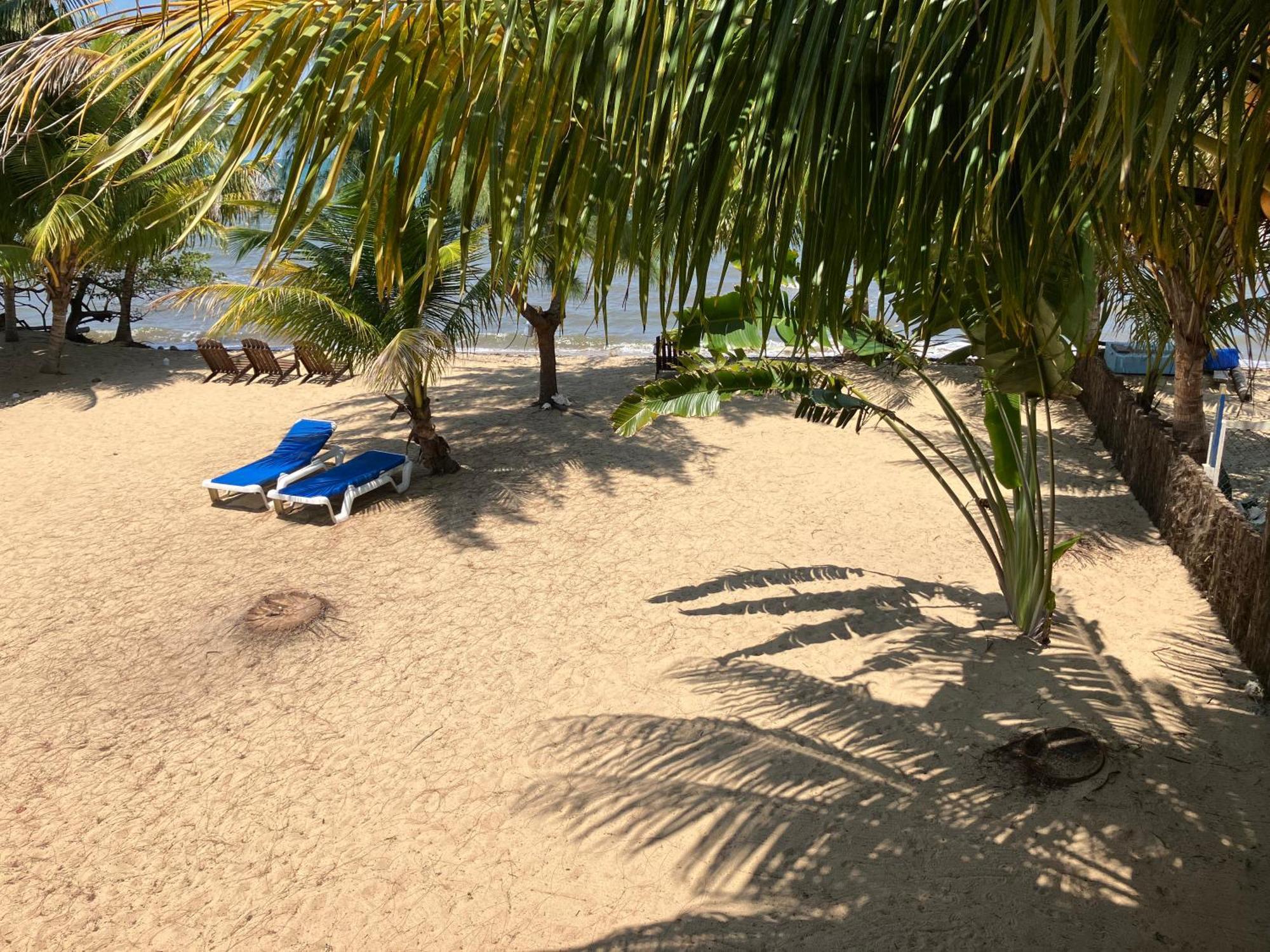 Lost Reef Resort Riversdale Eksteriør bilde