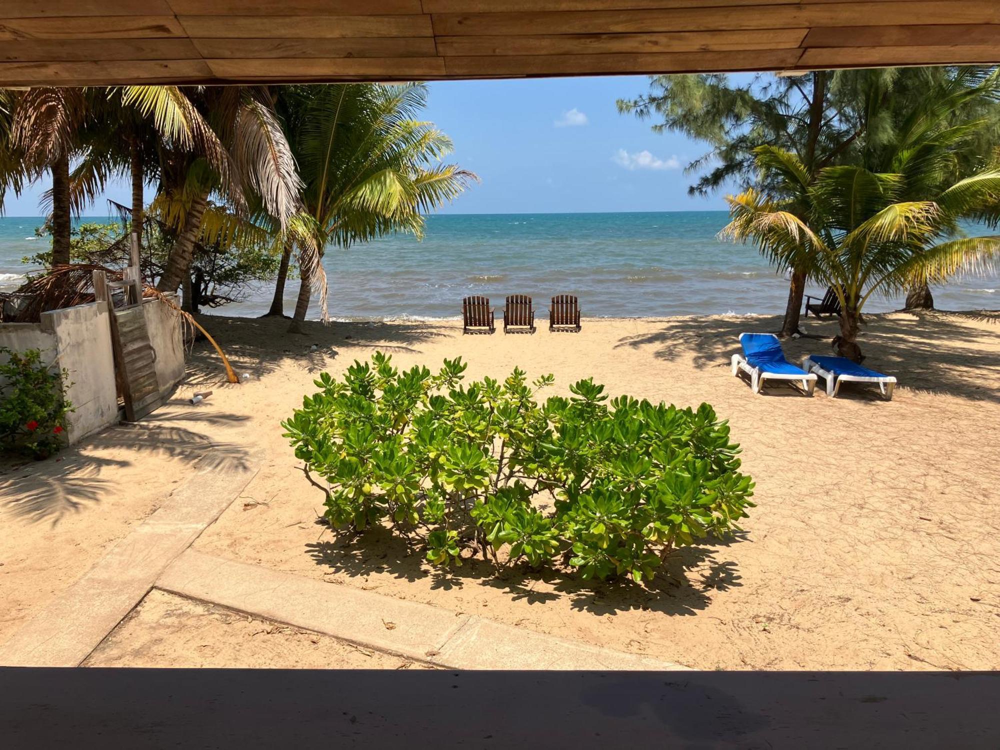 Lost Reef Resort Riversdale Eksteriør bilde