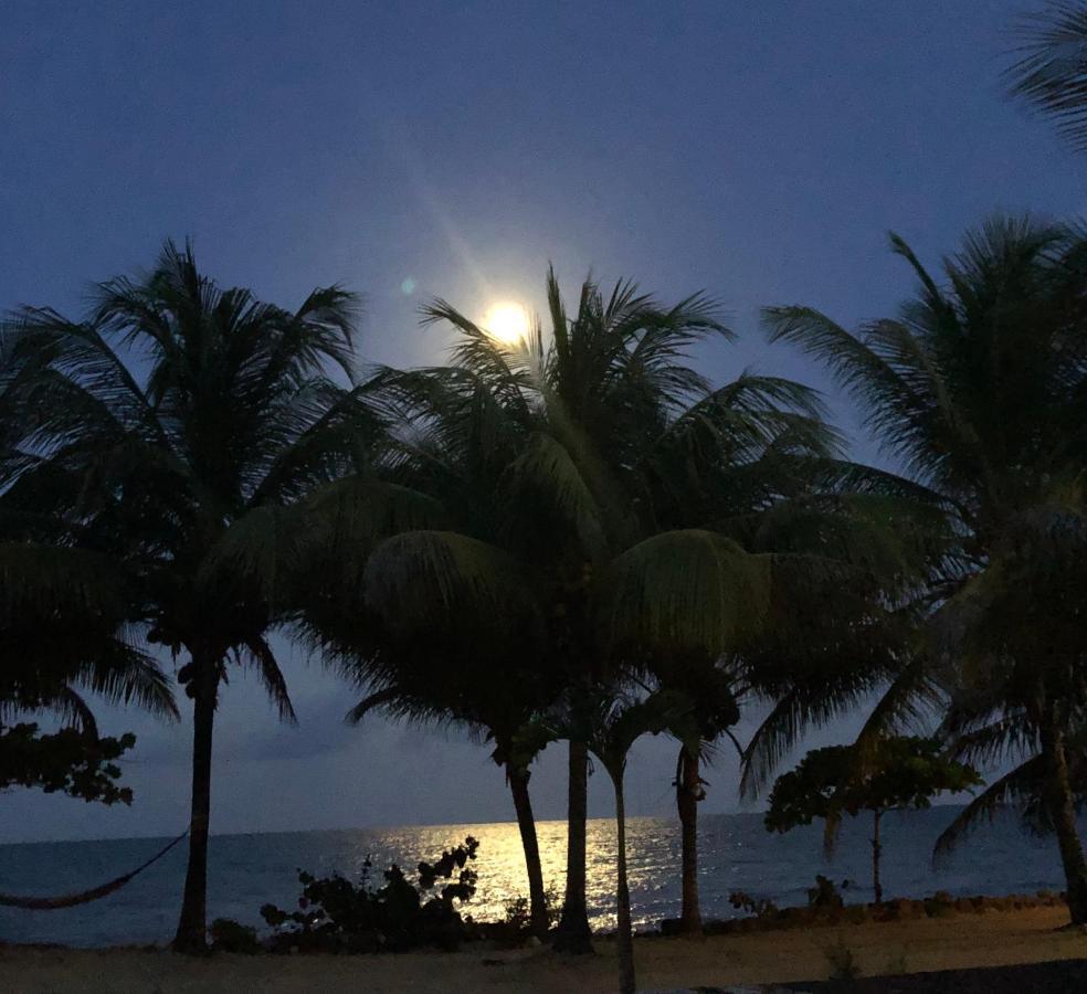 Lost Reef Resort Riversdale Eksteriør bilde